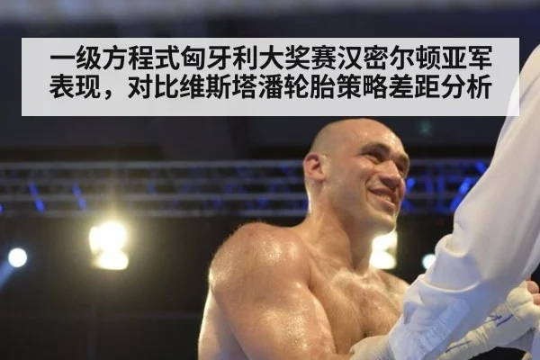 一级方程式匈牙利大奖赛汉密尔顿亚军表现，对比维斯塔潘轮胎策略差距分析